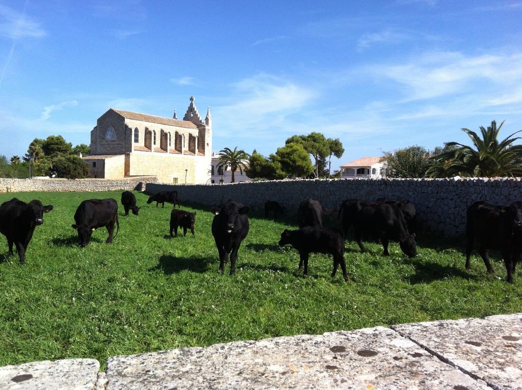 Llucmacanes Gran Agroturismo Mahón Exteriör bild